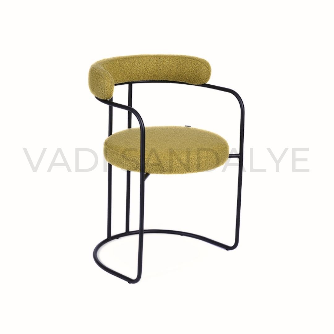 Dino Metal Chair