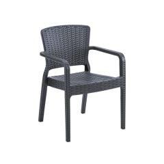 Antreas PP Chair with Armrests