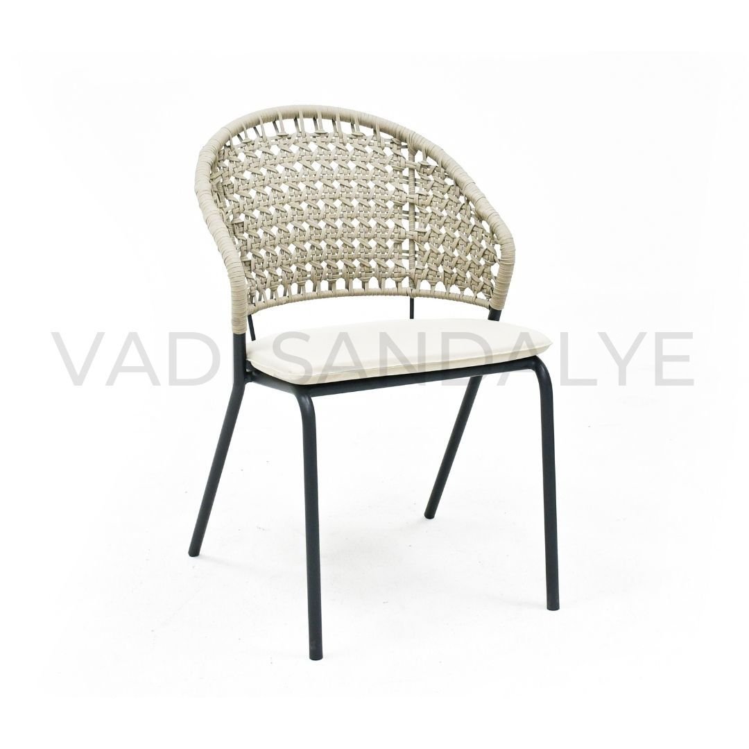 Daysi Metal Sandalye