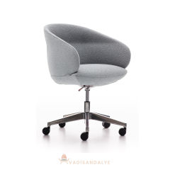 كرسي دراسة تينيدي