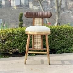 Eva Lüks Bar Sandalyesi